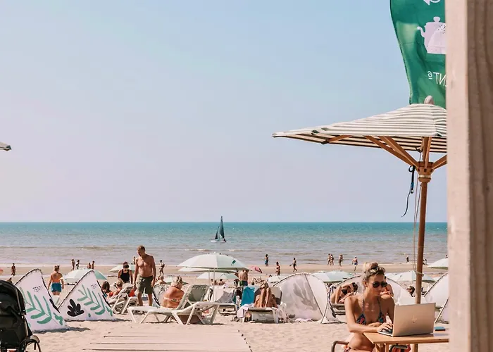 Zandvoort Lodge * 잔드보르트